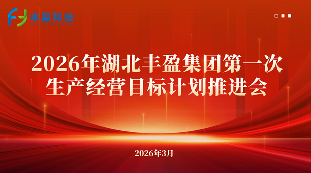 锚定目标启新程 实干笃行向未来——湖北丰盈集团召开2026年第一次生产经营目标计划推进大会