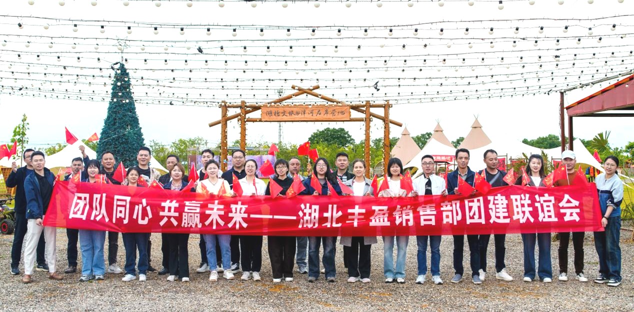 湖北丰盈节能环保科技股份有限公司