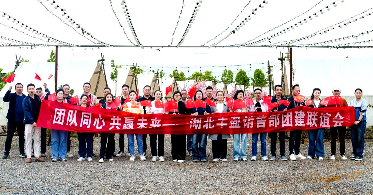 湖北丰盈节能环保科技股份有限公司