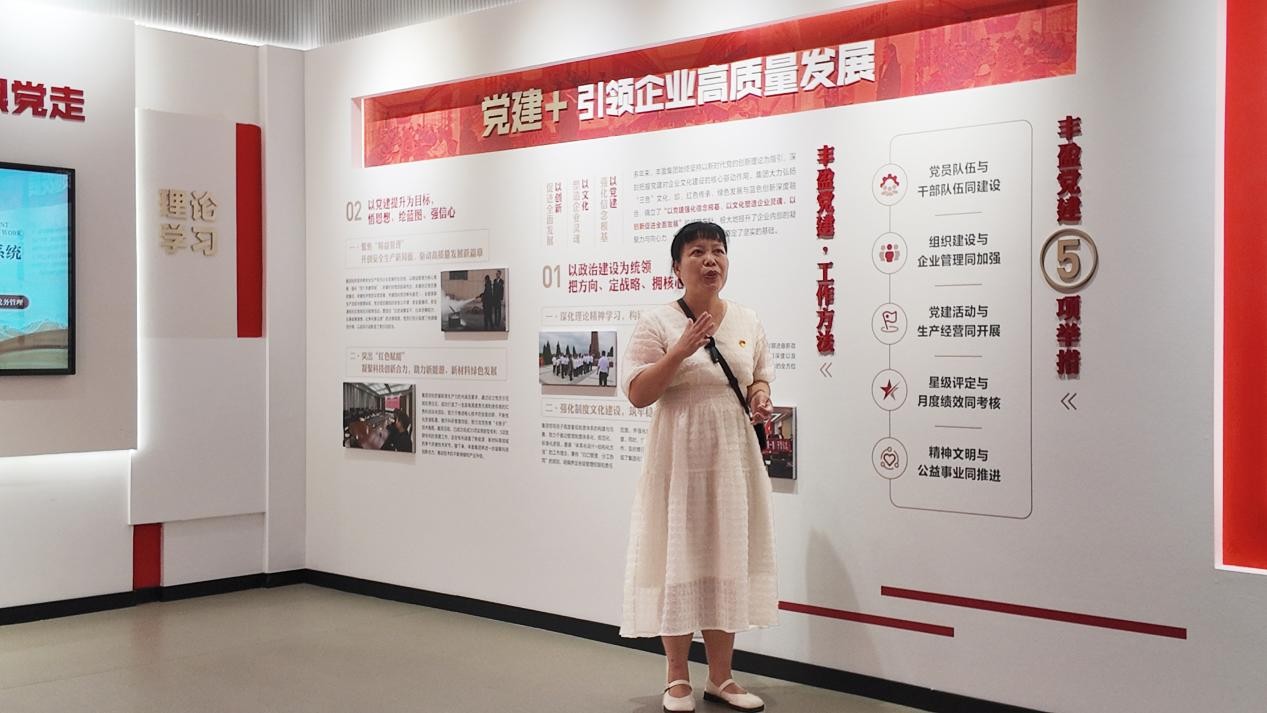湖北丰盈节能环保科技股份有限公司